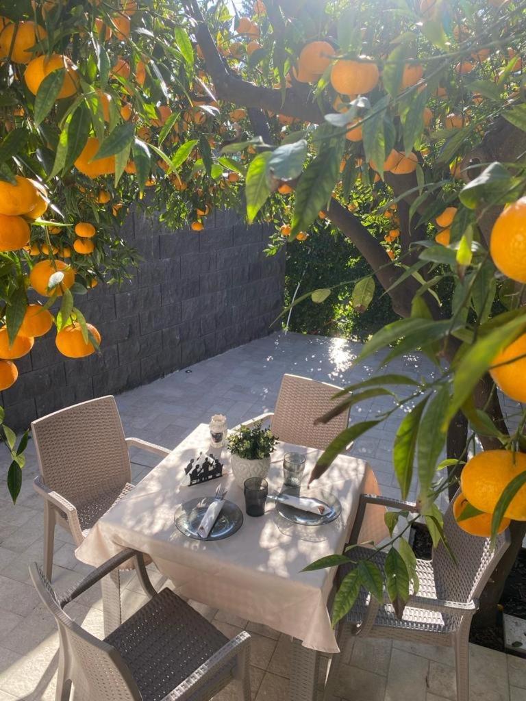 Casa Vacanza Il Mandarino 비아그란데 외부 사진