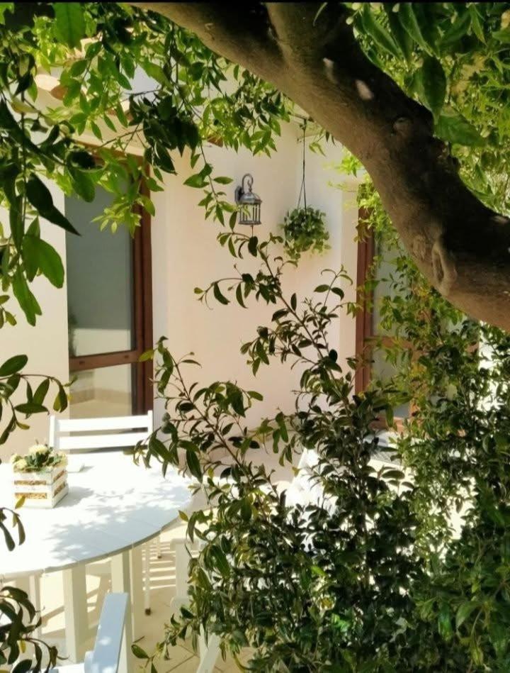 Casa Vacanza Il Mandarino 비아그란데 외부 사진
