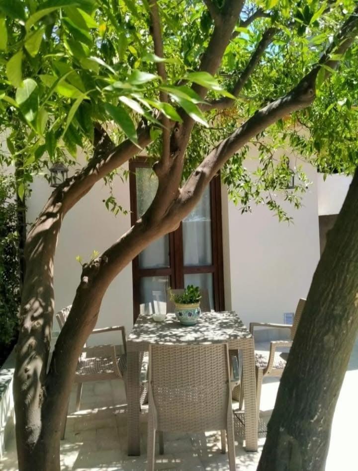 Casa Vacanza Il Mandarino 비아그란데 외부 사진